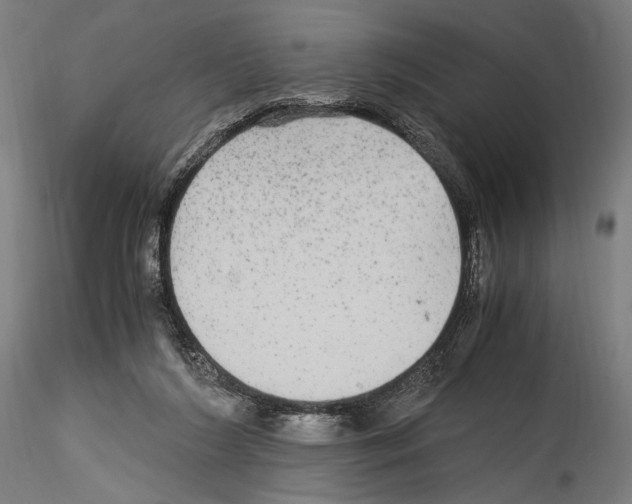X0000114560212200911301256