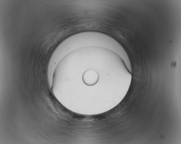 X0000114560213200911301256