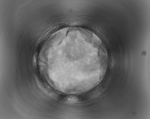 X0000114560214200911301256
