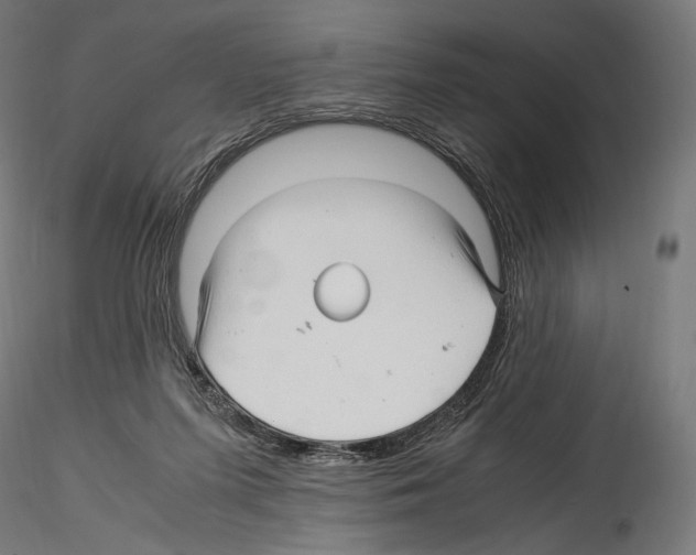 X0000114560215200911301256