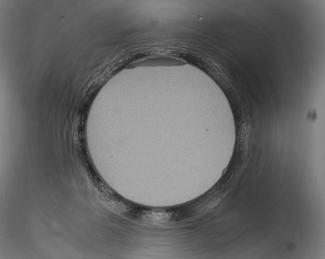X0000114560217200911301256
