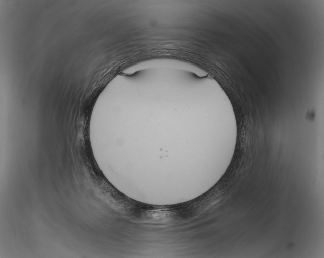 X0000114560219200911301256