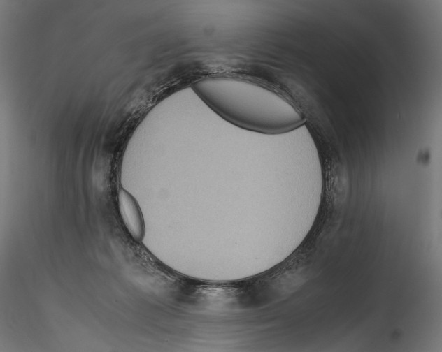 X0000114560221200911301256