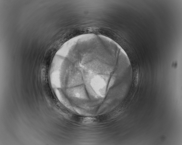 X0000114560222200911301256