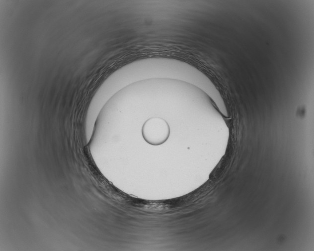 X0000114560225200911301256