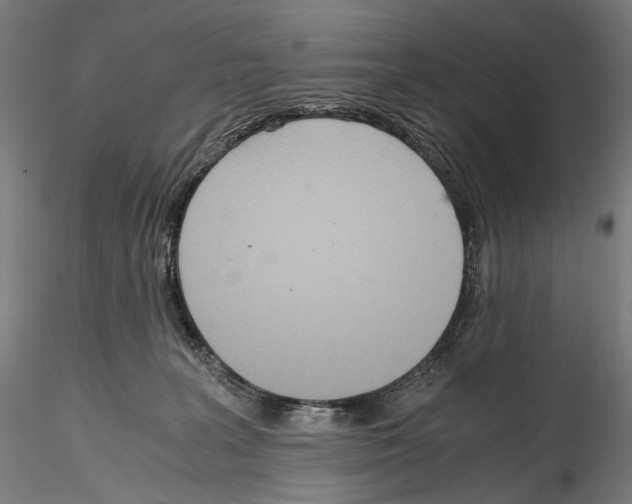 X0000114560227200911301256