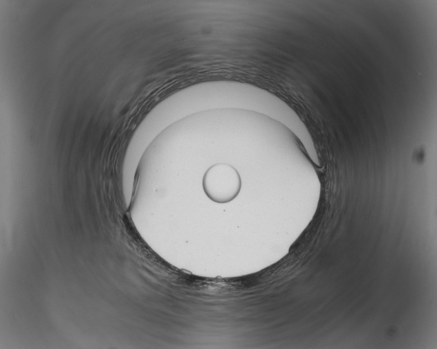 X0000114560229200911301256