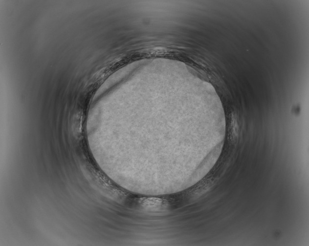 X0000114560230200911301256