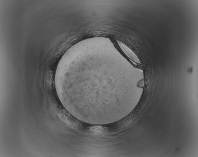 X0000114560231200911301256