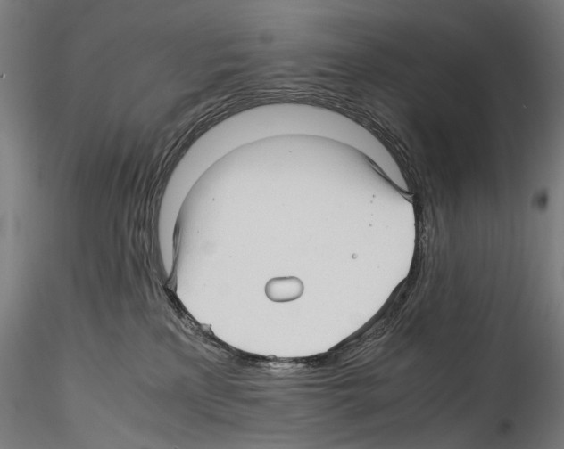 X0000114560233200911301256