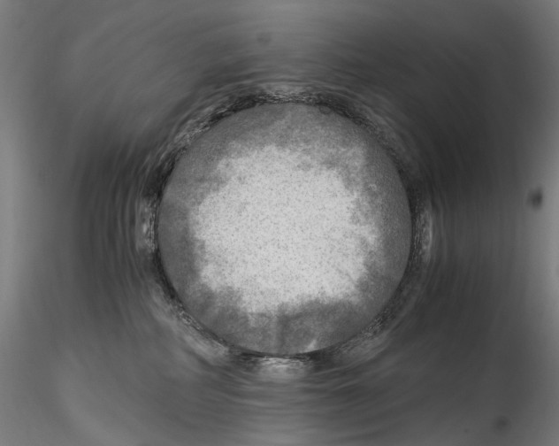 X0000114560234200911301256