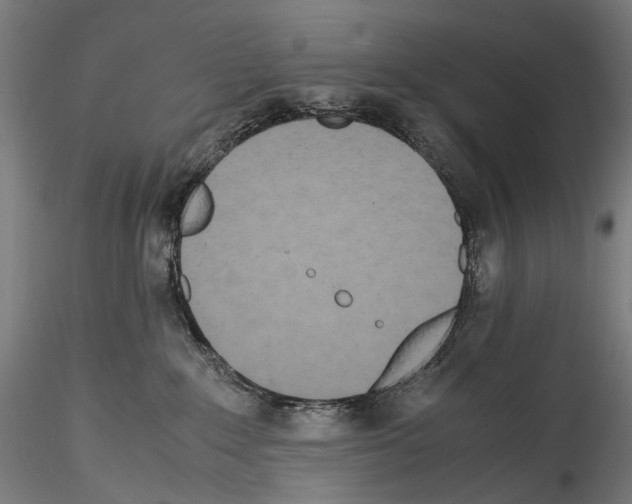 X0000114560235200911301256