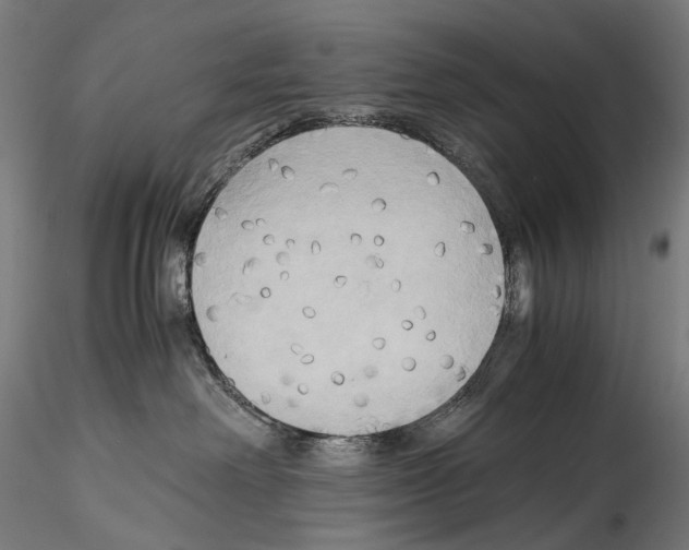 X0000114560238200911301256