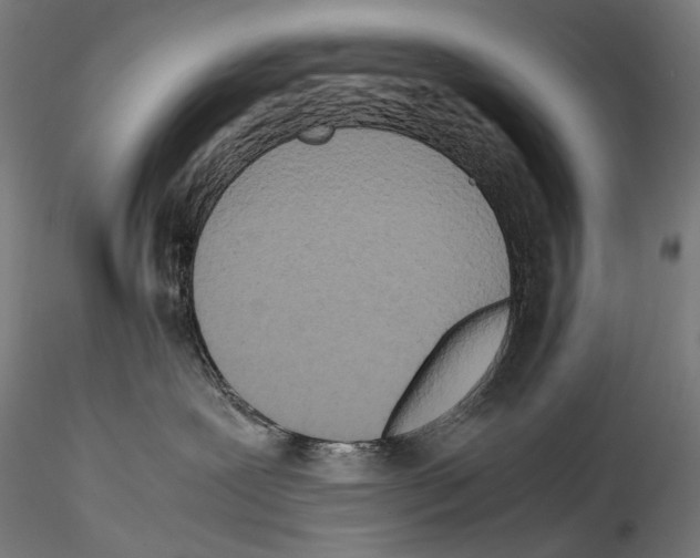 X0000114560239200911301256