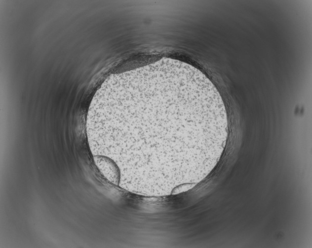 X0000114560240200911301256