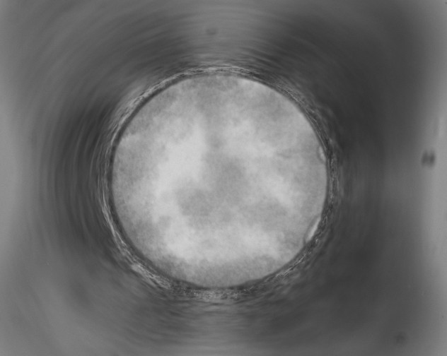 X0000114560241200911301255
