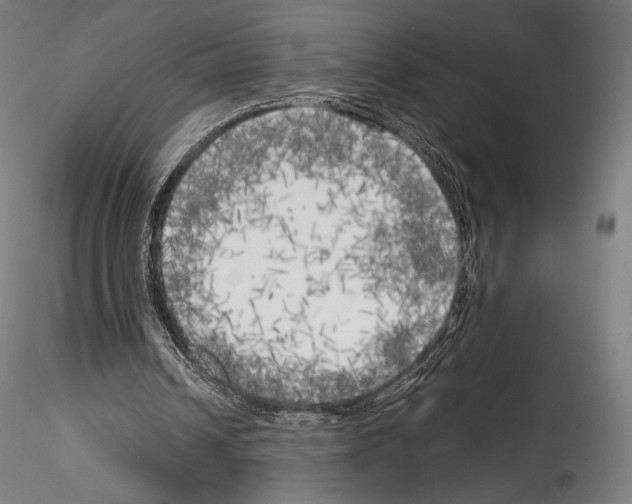 X0000114560242200911301255