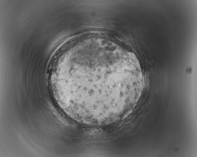 X0000114560243200911301255
