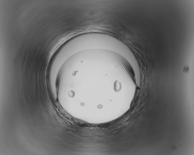 X0000114560244200911301255