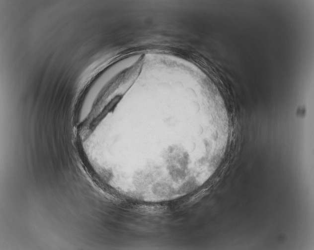X0000114560245200911301255