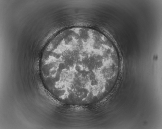 X0000114560249200911301255