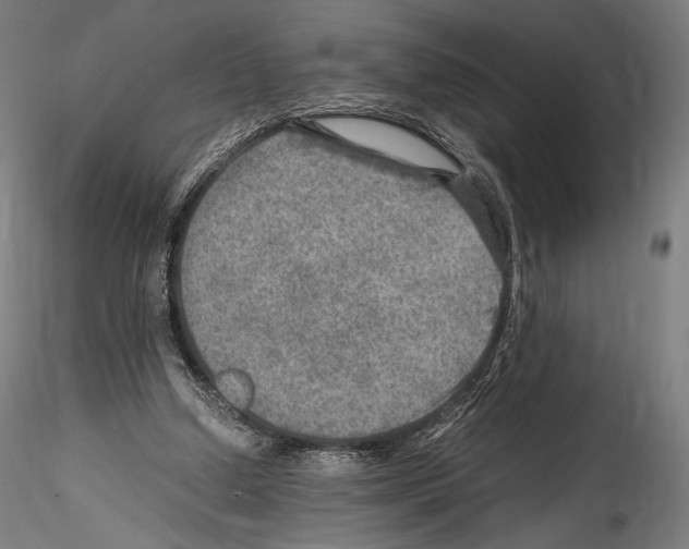X0000114560250200911301255