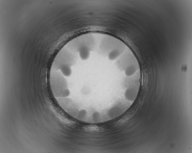 X0000114560253200911301255