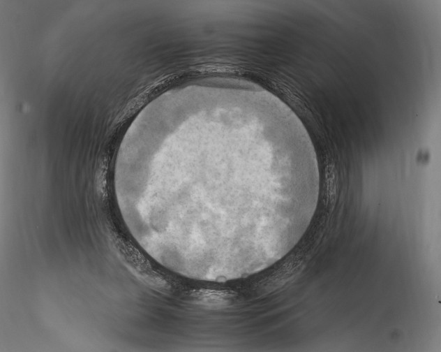 X0000114560255200911301255