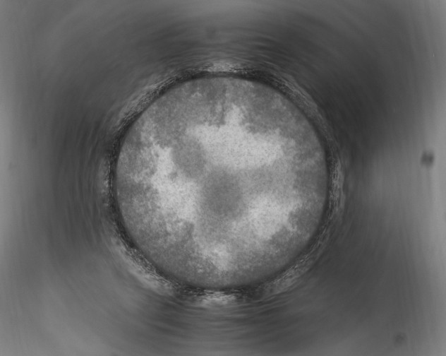 X0000114560257200911301255