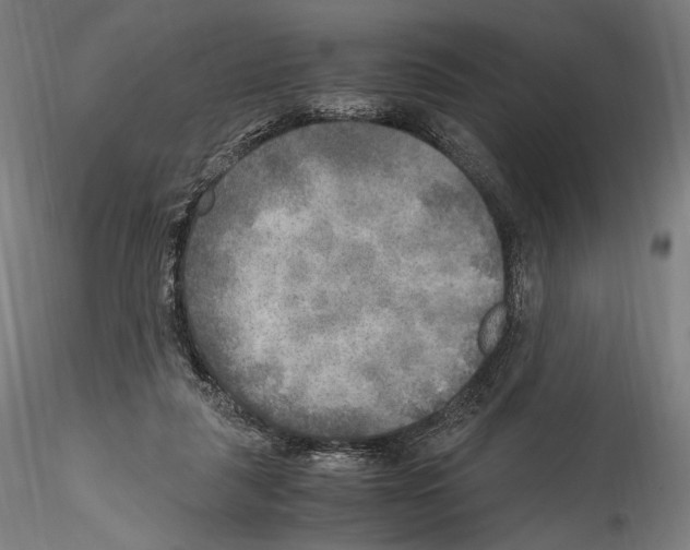 X0000114560259200911301255