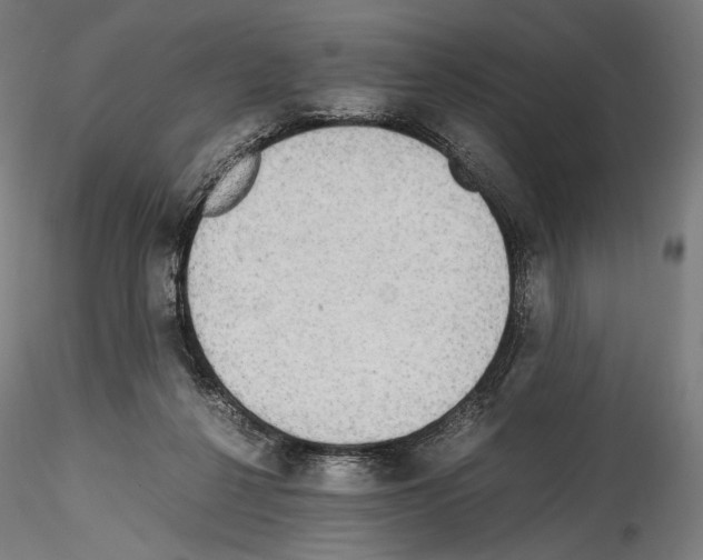 X0000114560264200911301255