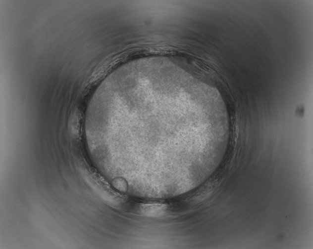 X0000114560266200911301255