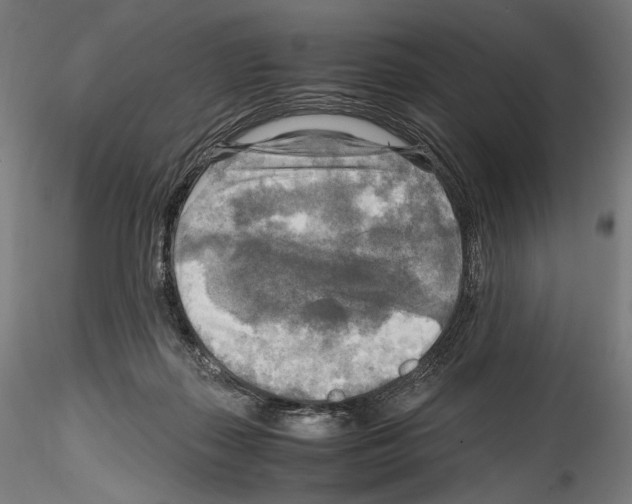 X0000114560267200911301255