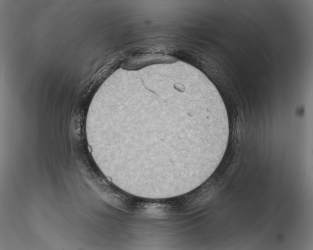 X0000114560268200911301255