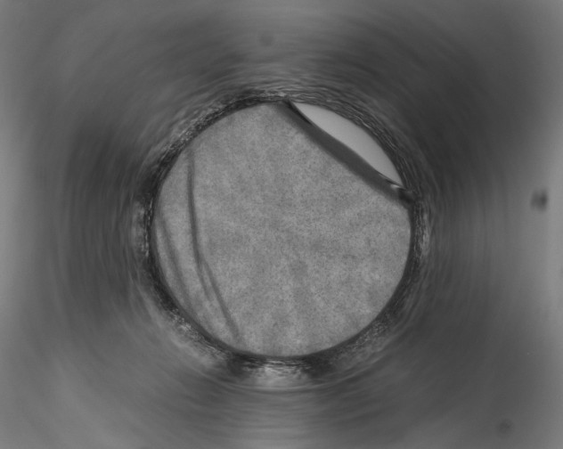 X0000114560270200911301255