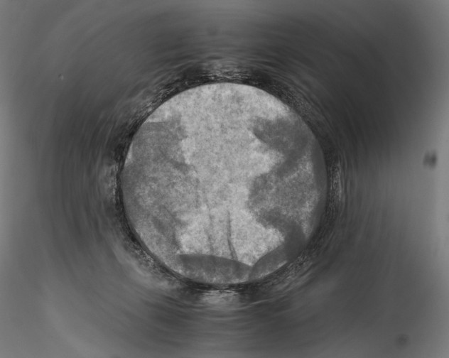 X0000114560271200911301255