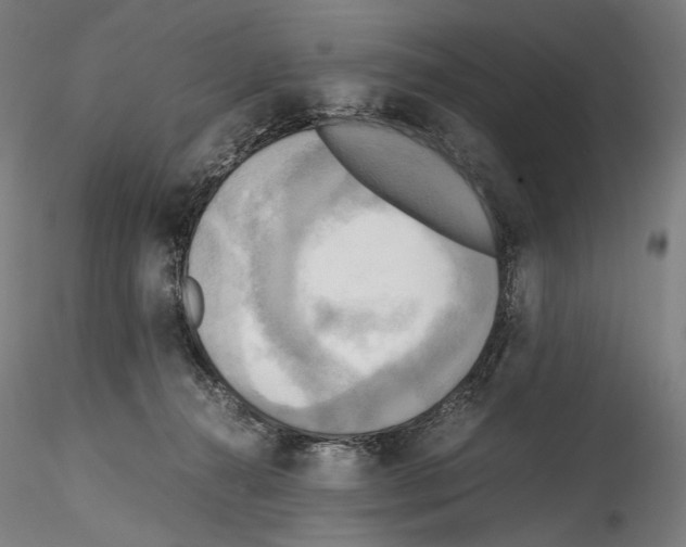 X0000114560272200911301255