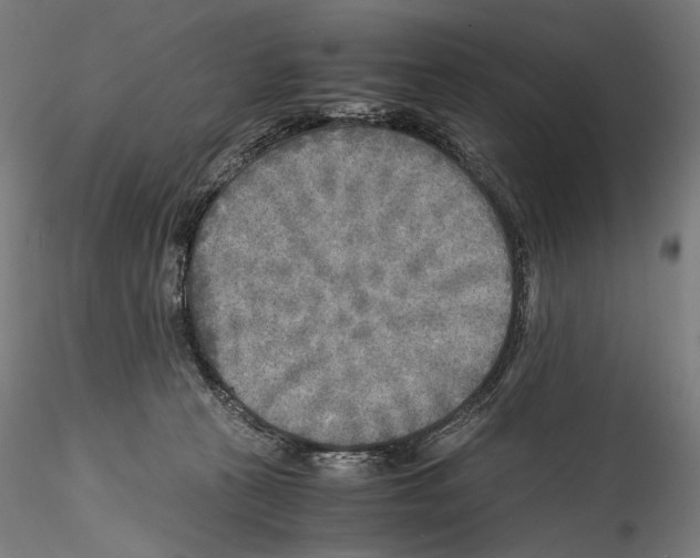 X0000114560273200911301255