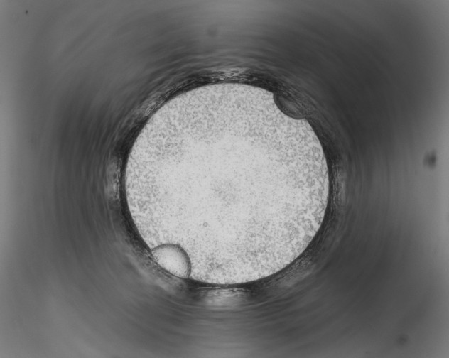 X0000114560274200911301255