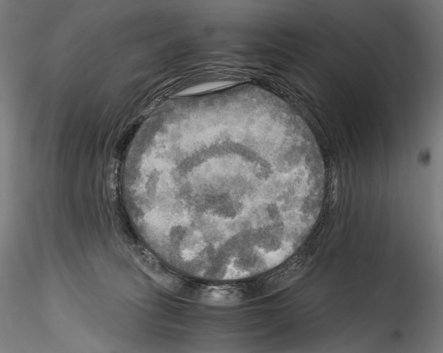X0000114560275200911301255