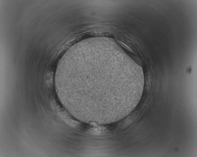 X0000114560278200911301256