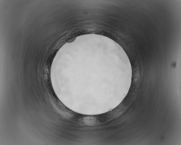 X0000114560279200911301256