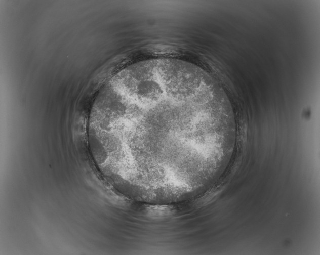 X0000114560281200911301256