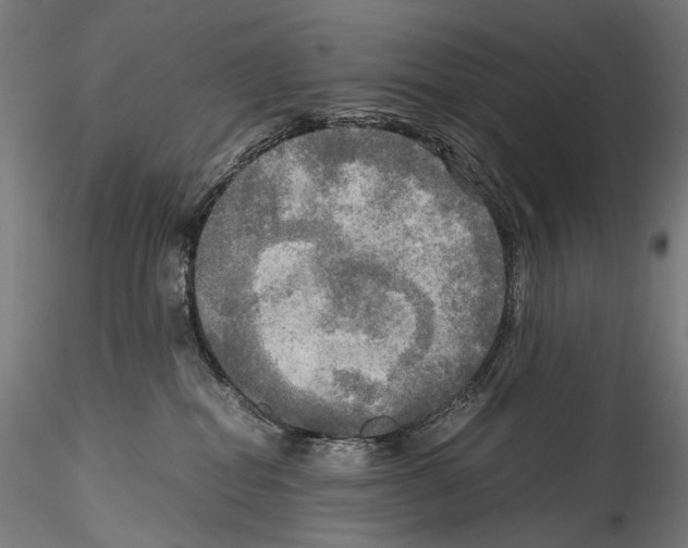 X0000114560282200911301256