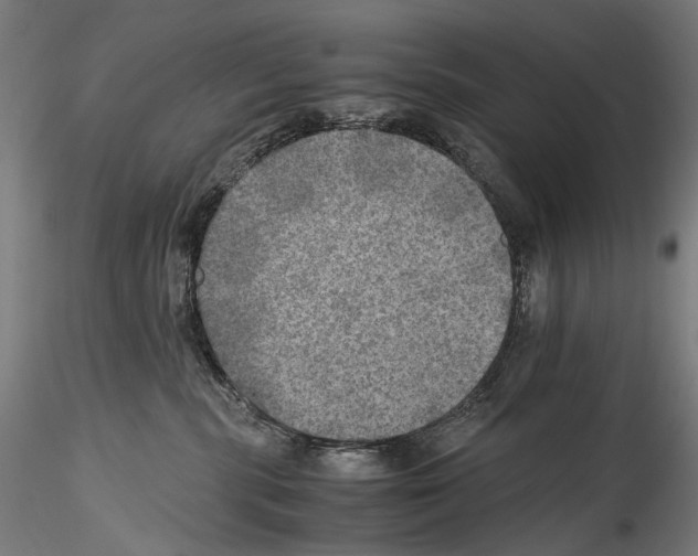 X0000114560283200911301256