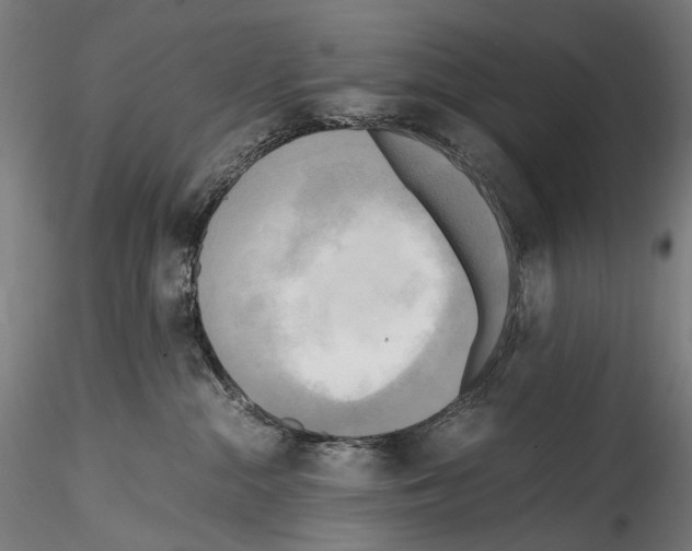 X0000114560284200911301256