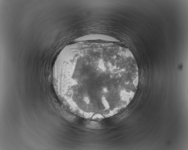 X0000114560285200911301256