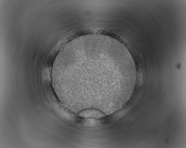 X0000114560286200911301256