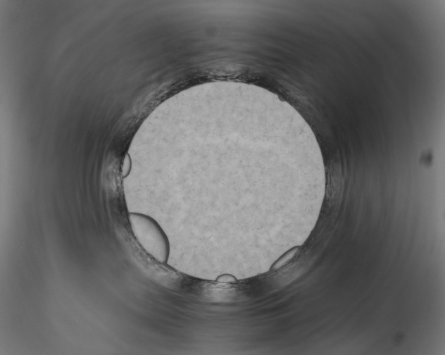X0000114560287200911301256