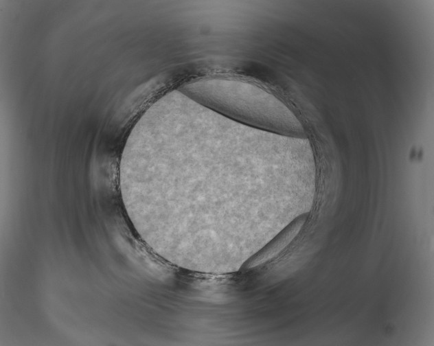 X0000114560288200911301256
